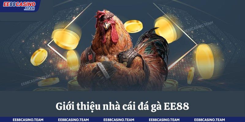 Giới thiệu nhà cái đá gà online EE88