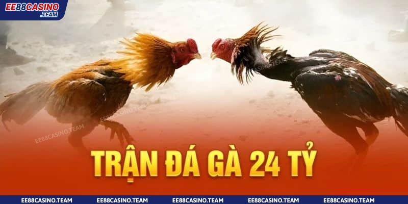 Đá gà 24 tỷ